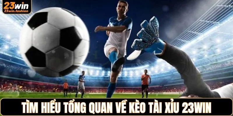 Tìm hiểu tổng quan về kèo tài xỉu 23WIN